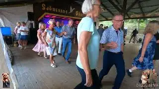 JAdans & Danssk&ouml;ldarna - Sj&ouml;nevad - Diggarna - Polka 1