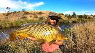 This Hidden Fishing Spot is LOADED with Carp