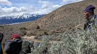 Anas in nevada pt. 1