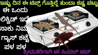 ಇಷ್ಟು ದಿನ ಈ ಟಿಪ್ಸ್ ಗೊತ್ತಿಲ್ದೆ ತುಂಬಾ ಕಷ್ಟ ಪಟ್ಟೆವು | home cleaning tips | kitchen tips | home tips 