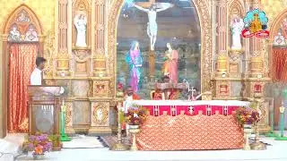 🔴 Live 06 February 2026 @ Vailankanni Shrine Basilica