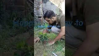 Planted tree oon my birthday.#kunalraj