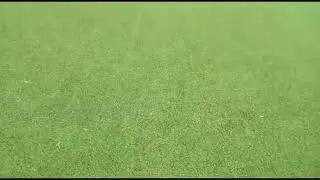scorum tournament park video