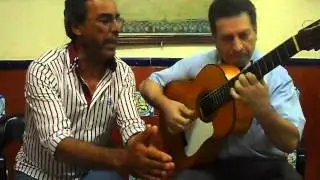 Vídeo de Los Cabales, Arahal (Sevilla)