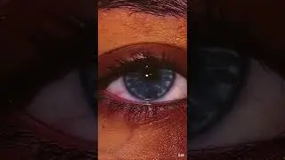 🔄🔄🔄