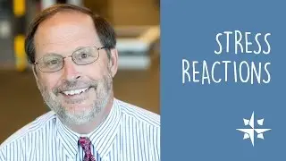 Stress Reactions / Douglas Cutter, MD, CAQSM