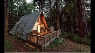 300sqft Tiny House in forest  very beautiful and incredible