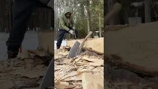 Hand hewn log (ASMR)