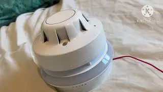 A look at the newer style Apollo discovery base sounder. (All tones)