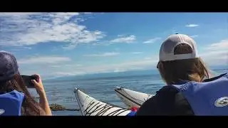 Kayaking With Killer Whales - San Juan Island, Washington State