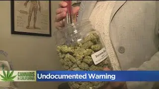 Immigration Attorneys Warn Against Using Marijuana As Feds Change Stance