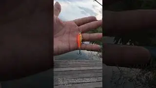 Rapala Ultra Light Shad ULS-04 เหยื่อดี สีสดใส
