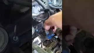 слив блогерки Тосолки. секс с Жигулями!!1