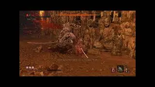 Sekiro - When you almost get a no-hit run against inner Father but it gets ruined at the last moment