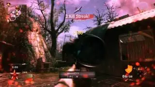 Black Ops minitage | by Voxeh