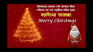 Merry Chirstmas Wish Template | Merry Christmas Animation Card | Merry Christmas Motion Graphics