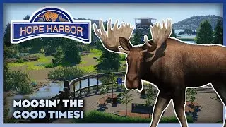 Moosin' the Good Times - Hope Harbor Zoo