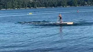 Orcas visit Hood Canal (south of Belfair) on July 25th, 2020