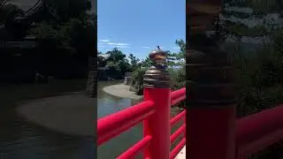 Perfect summer day in Zushi, Japan 🏝️ | Tokyo day trips ☀️