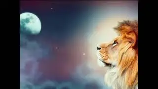Calm an The Lion's Dream Wake Up People!PEACE! V