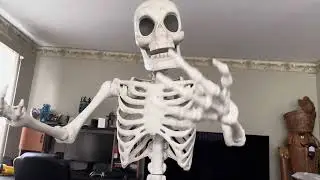 Target servo skeleton review