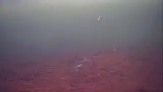 Ice Fishing Dec 25 2025