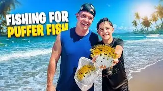 Calvin Catching Puffer Fish on the Beach 🎣