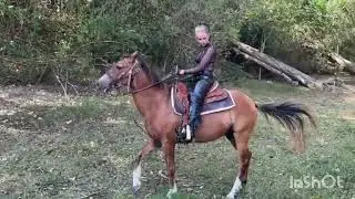 Cruel Riding Video. Cruel Horse Riding. Horse Riding. Whipping Riding Video. Hard horse Riding 