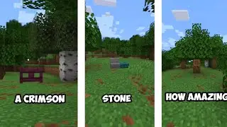 My YouTube Shorts Compilation (2025)