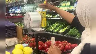 Mist Me- The Future of Hygienic Grocery Shopping