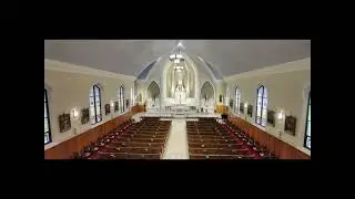 Deacon Phil's Homily ~ Jan 21, 2026 ~ 2nd Wed OT2