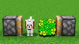 dog + xp = ?