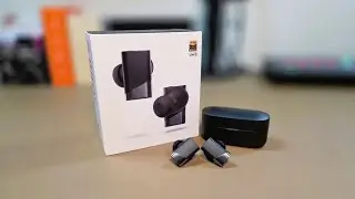 Status Pro X Earbuds | Unboxing & Review