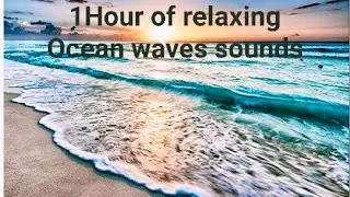 1 Hour of Relaxing Ocean Sounds - Masts Squeaking, Seagulls Chirping