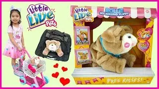 Little Live Pets Rollie My Kissing Puppy Toy Review and Unboxing, What's In the Box from Moose Toys
