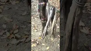🚶&zwj;♂️ ふるさと冬散歩道　古代の音　さらしなの里