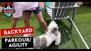 Backyard Dog Training Fun with Kids & Household Items to create an obstacle course for your dog