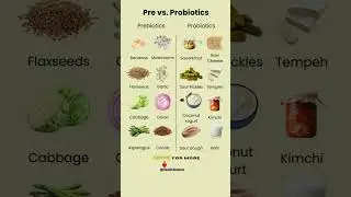 Top 8 Prebiotic & Probiotic Foods That Fix Your Gut Naturally