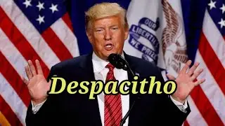 Despacitho ( donel trump )