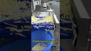 Potato Processing Line, Potato Cutting Machine, Potato Dehydrator