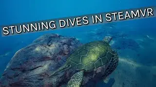 Subside Brings Realistic Shallow Water Diving To PCVR
