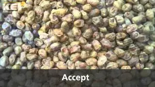 Date Grading on Optyx 6000 3 Way Sorter