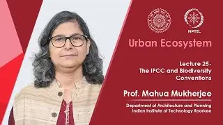 Lecture 25: The IPCC and Biodiversity Conventions