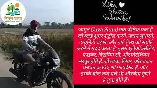 Nirmal Chhaya plantation #nationfirst #rockstars #gogreenproject #viral #dhurandhar #yshort #youtube
