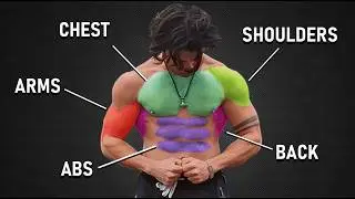 Train These 5 Muscle Groups to Build Aesthetics