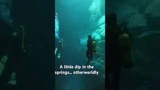 Buford Springs 📍 beautiful scuba dive down into a cavern #travel #lifeisbutadream #family #diving