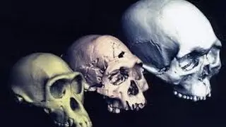 Evolution Of Man Documentary Channel - Ape Man The Story of Human Evolution 3of4 All in the Mind