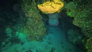 Cozumel Nightdive