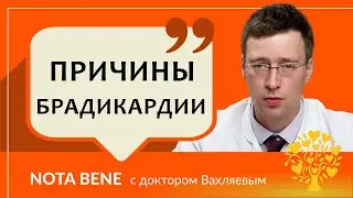 Брадикардия: как замедление пульса влияет на работу сердца