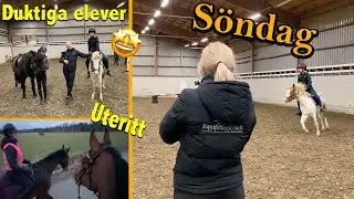 VLOGGVECKA DAG 7